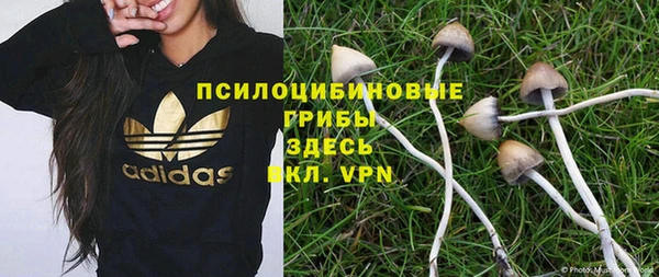 MESCALINE Бородино