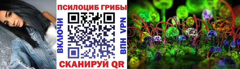 Галлюциногенные грибы прущие грибы Кулебаки
